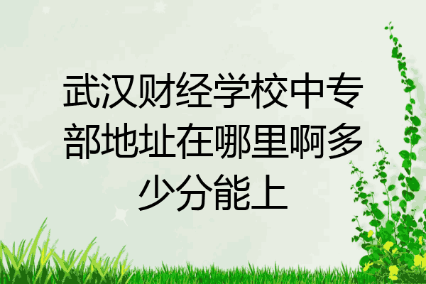 武汉财经学校中专部地址在哪里啊多少分能上