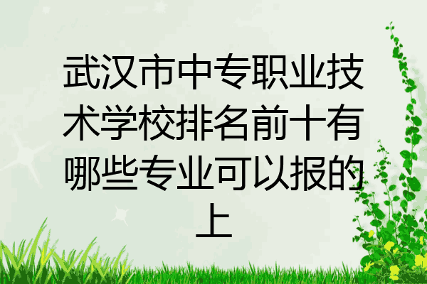 武汉市中专职业技术学校排名前十有哪些专业可以报的上