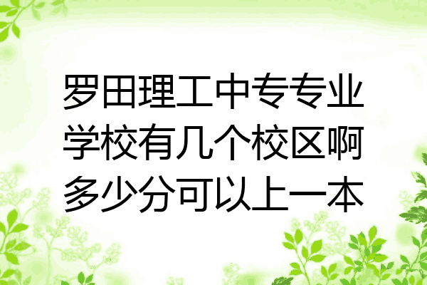 罗田理工中专专业学校有几个校区啊多少分可以上一本