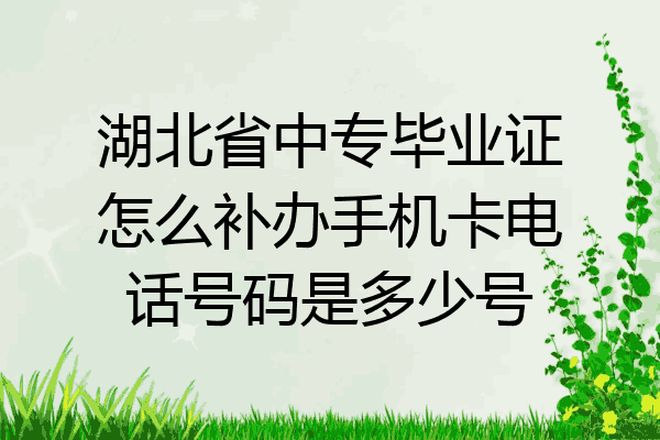 湖北省中专毕业证怎么补办手机卡电话号码是多少号