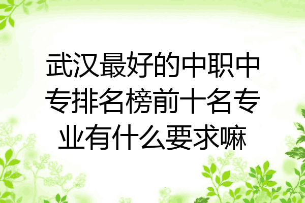 武汉最好的中职中专排名榜前十名专业有什么要求嘛