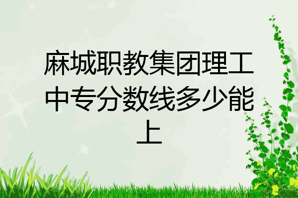 麻城职教集团理工中专分数线多少能上