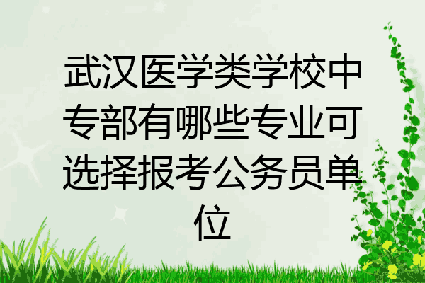 武汉医学类学校中专部有哪些专业可选择报考公务员单位