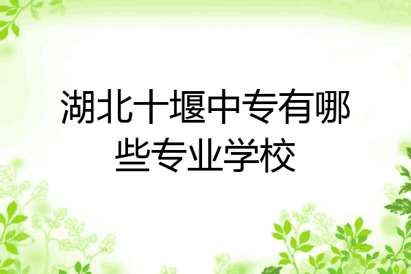 湖北十堰中专有哪些专业学校