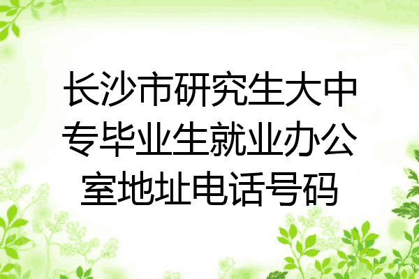长沙市研究生大中专毕业生就业办公室地址电话号码