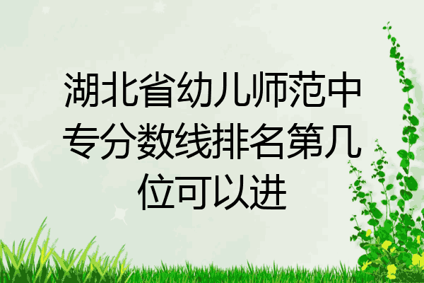湖北省幼儿师范中专分数线排名第几位可以进