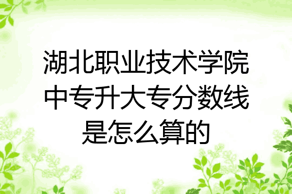 湖北职业技术学院中专升大专分数线是怎么算的