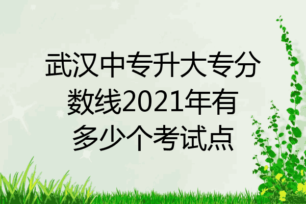 武汉中专升大专分数线2021年有多少个考试点