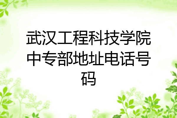 武汉工程科技学院中专部地址电话号码