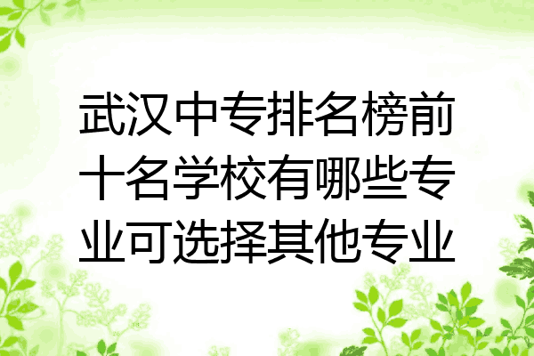 武汉中专排名榜前十名学校有哪些专业可选择其他专业