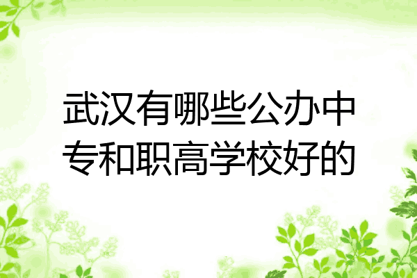 武汉有哪些公办中专和职高学校好的