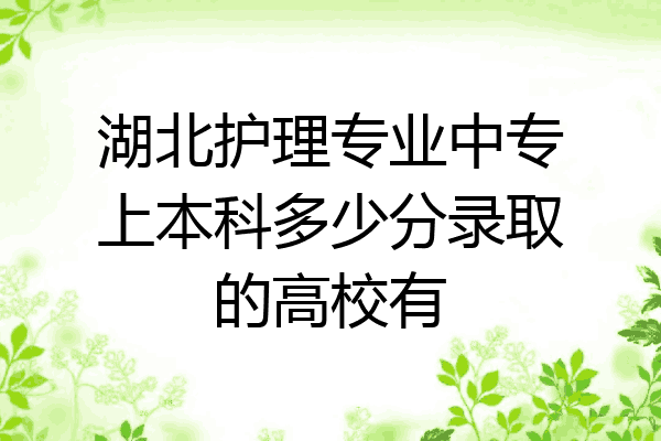 湖北护理专业中专上本科多少分录取的高校有