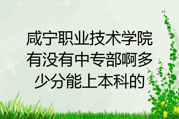 咸宁职业技术学院有没有中专部啊多少分能上本科的