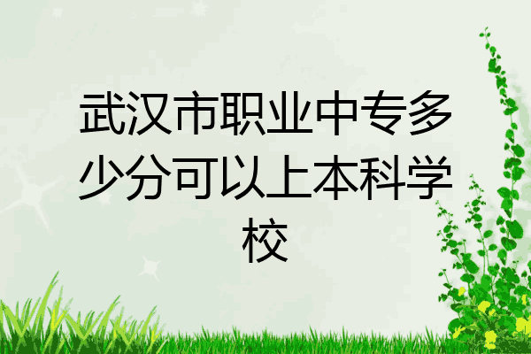 武汉市职业中专多少分可以上本科学校
