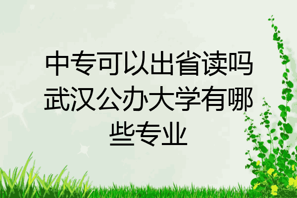 中专可以出省读吗武汉公办大学有哪些专业