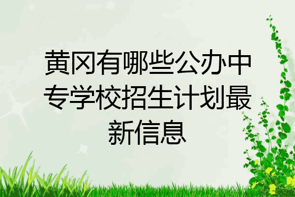黄冈有哪些公办中专学校招生计划最新信息