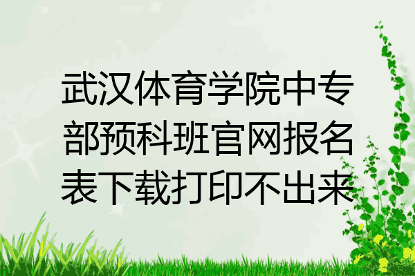 武汉体育学院中专部预科班官网报名表下载打印不出来