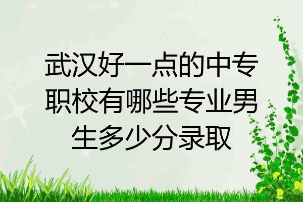 武汉好一点的中专职校有哪些专业男生多少分录取