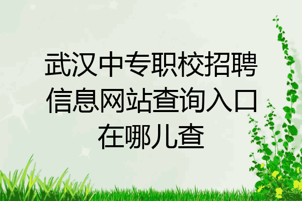 武汉中专职校招聘信息网站查询入口在哪儿查