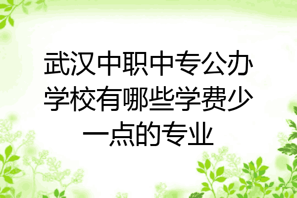 武汉中职中专公办学校有哪些学费少一点的专业