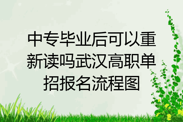中专毕业后可以重新读吗武汉高职单招报名流程图
