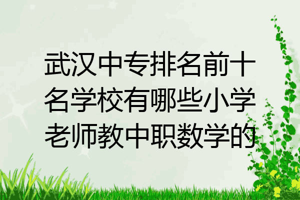 武汉中专排名前十名学校有哪些小学老师教中职数学的