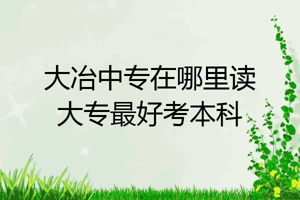 大冶中专在哪里读大专最好考本科