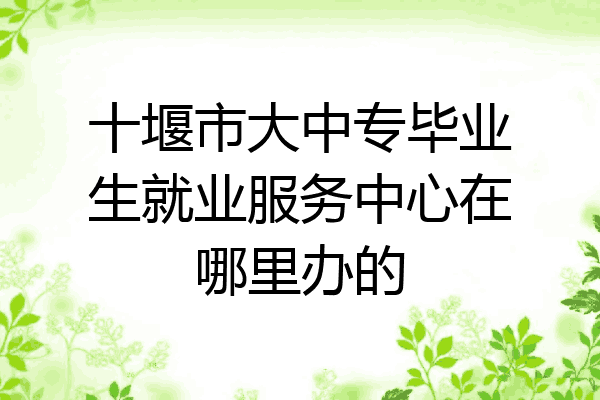 十堰市大中专毕业生就业服务中心在哪里办的