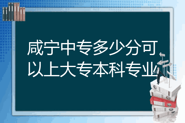 咸宁中专多少分可以上大专本科专业