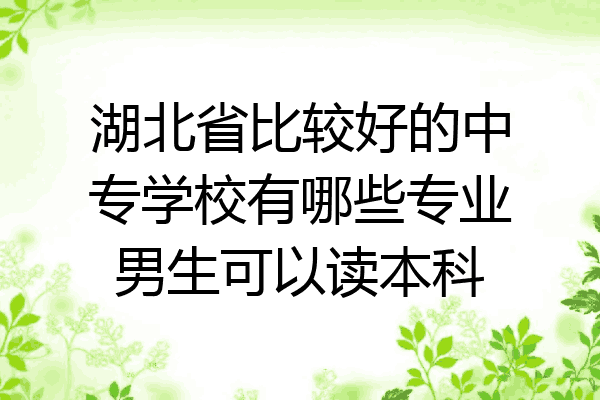 湖北省比较好的中专学校有哪些专业男生可以读本科