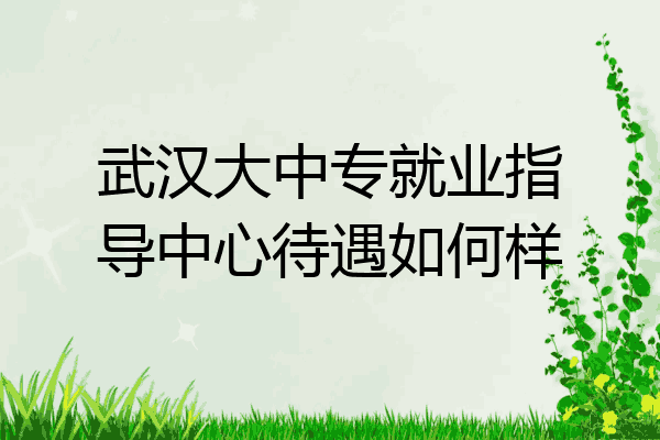 武汉大中专就业指导中心待遇如何样