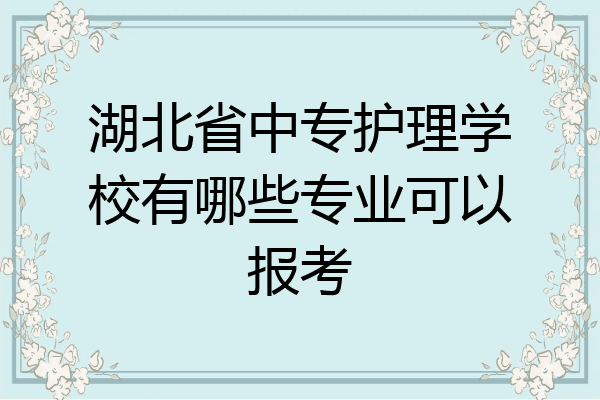 湖北省中专护理学校有哪些专业可以报考