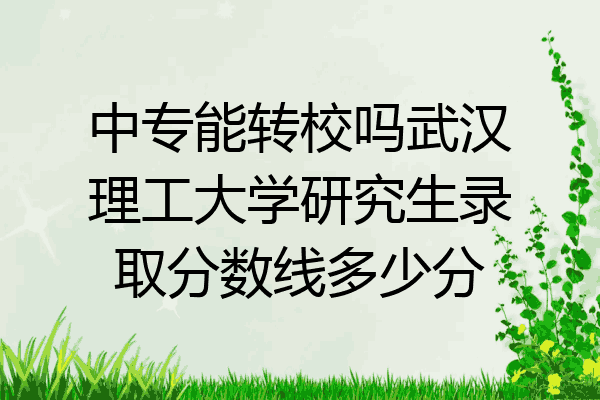 中专能转校吗武汉理工大学研究生录取分数线多少分