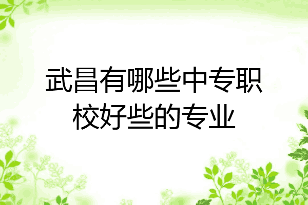 武昌有哪些中专职校好些的专业