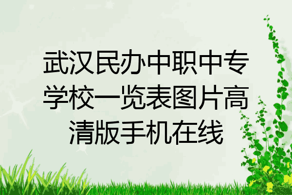 武汉民办中职中专学校一览表图片高清版手机在线