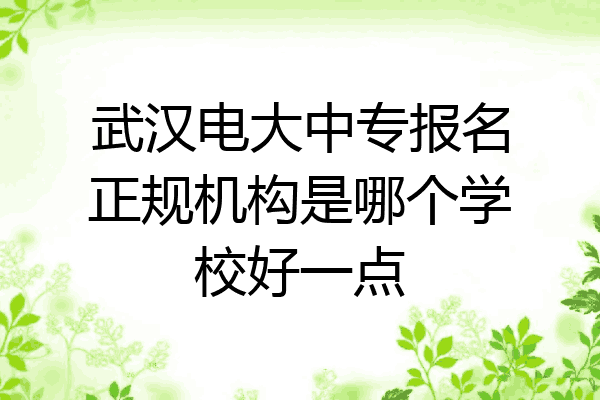 武汉电大中专报名正规机构是哪个学校好一点