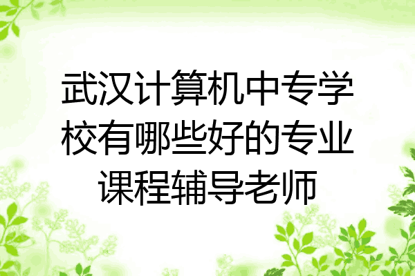 武汉计算机中专学校有哪些好的专业课程辅导老师