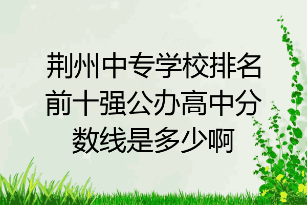 荆州中专学校排名前十强公办高中分数线是多少啊
