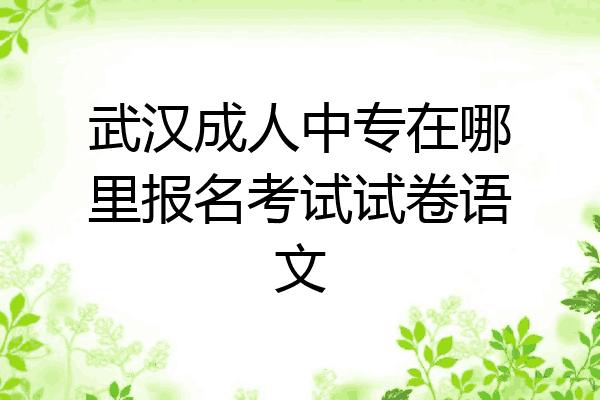武汉成人中专在哪里报名考试试卷语文