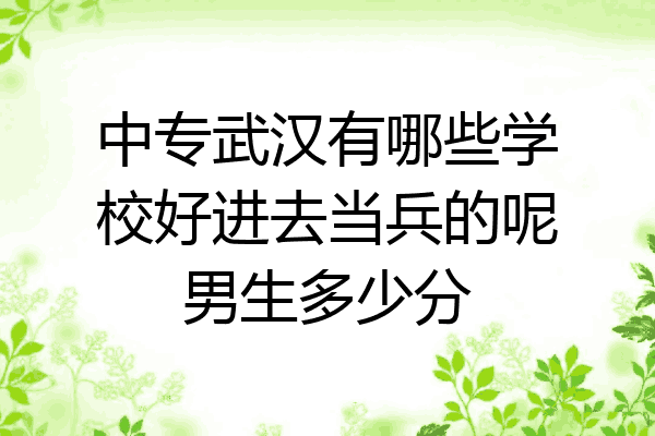 中专武汉有哪些学校好进去当兵的呢男生多少分