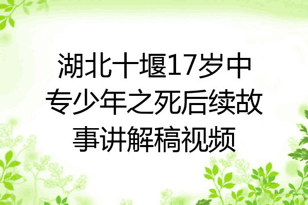 湖北十堰17岁中专少年之死后续故事讲解稿视频