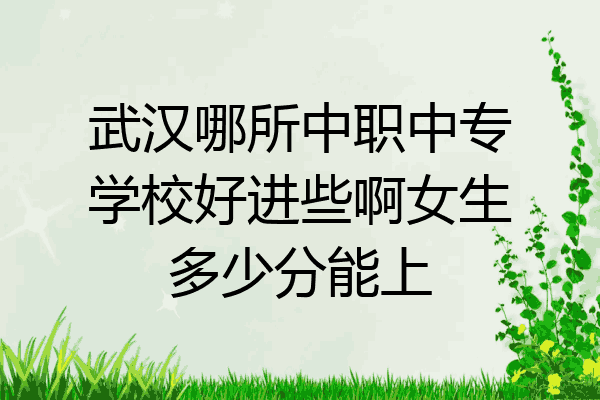 武汉哪所中职中专学校好进些啊女生多少分能上