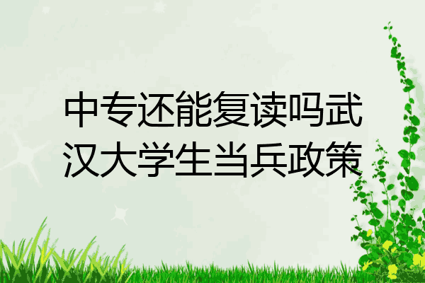 中专还能复读吗武汉大学生当兵政策