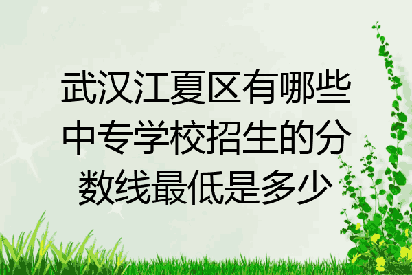 武汉江夏区有哪些中专学校招生的分数线最低是多少
