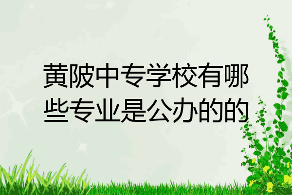 黄陂中专学校有哪些专业是公办的的