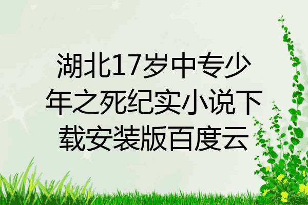湖北17岁中专少年之死纪实小说下载安装版百度云