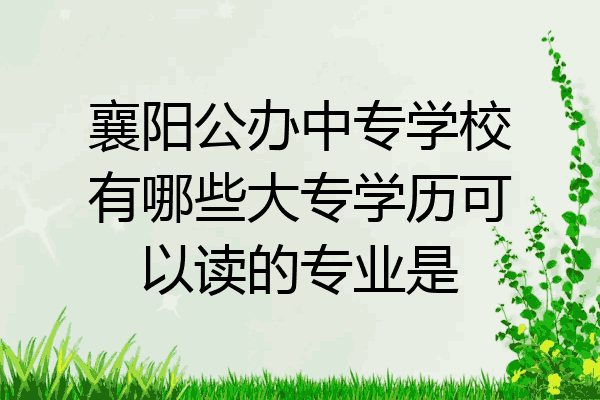 襄阳公办中专学校有哪些大专学历可以读的专业是