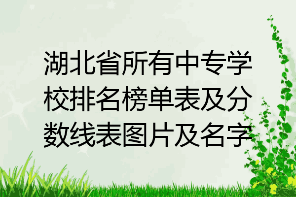 湖北省所有中专学校排名榜单表及分数线表图片及名字