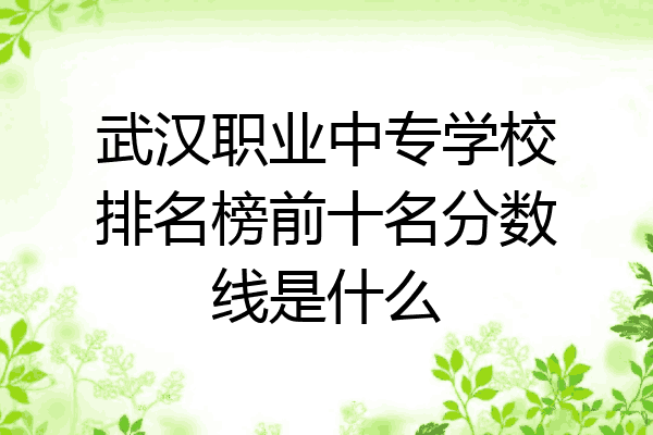 武汉职业中专学校排名榜前十名分数线是什么