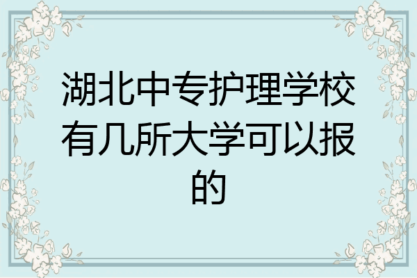 湖北中专护理学校有几所大学可以报的